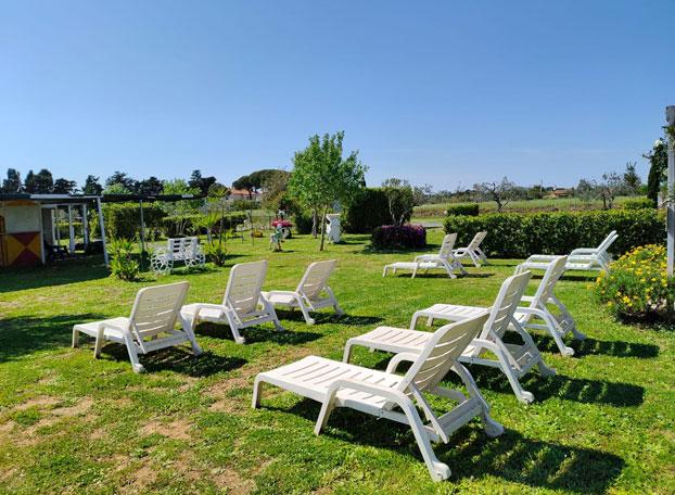 Agricampeggio Gioia Selvaggia e Fabio a Cecina - Vicino al mare - Area sosta camper adatto alle famiglie e gruppi - Foto 4