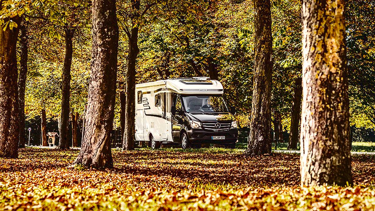 Bosque Estatal de Río Abajo - Foto 6