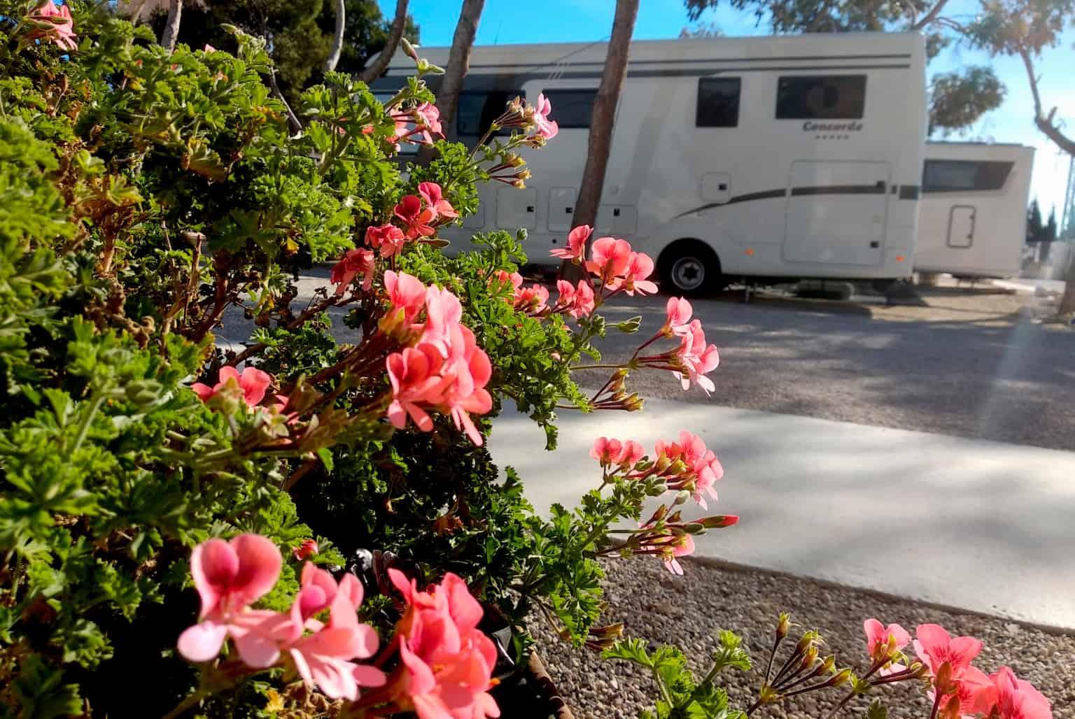 Wohnmobil- und Wohnwagenstellplatz 13.790078 - Foto 6