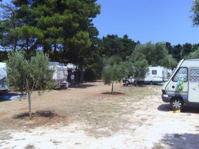 Agricamping, Parcheggio Auto 2 Palme BAIA DEI TURCHI - Foto 7