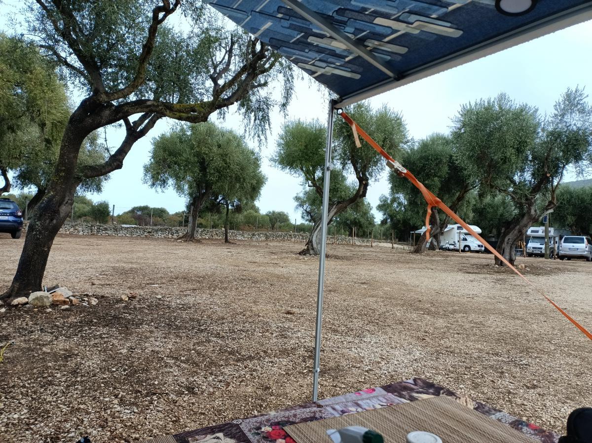 AREA DI SOSTA ATTREZZATA SANT'ELIA - Foto 6