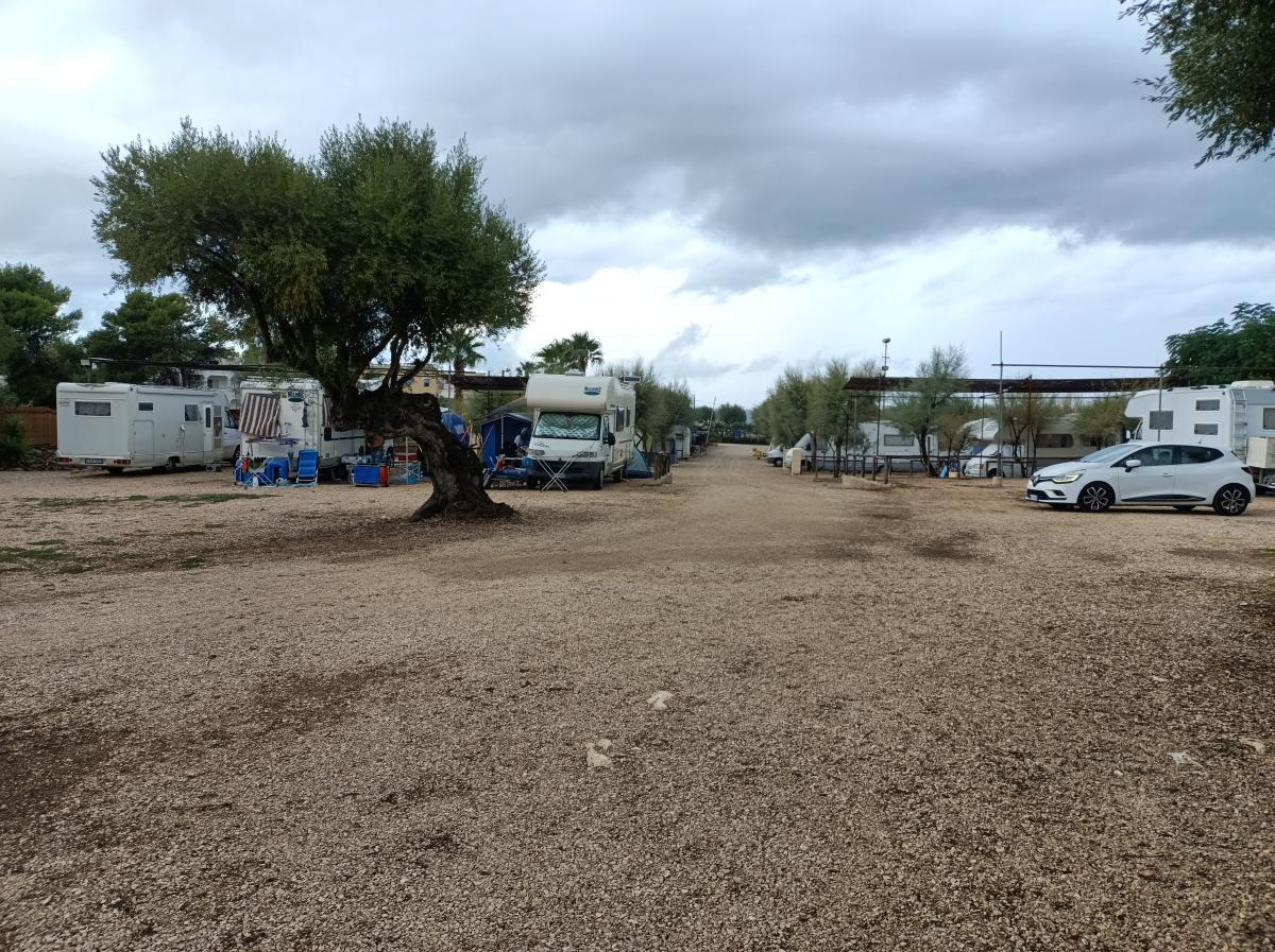 AREA DI SOSTA ATTREZZATA SANT'ELIA - Foto 2