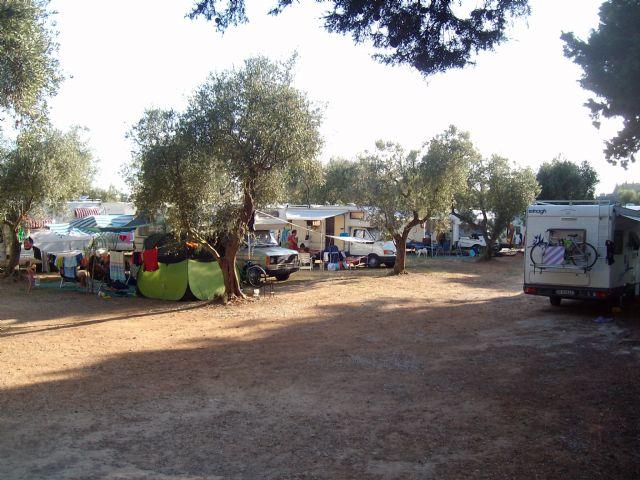 Agricamping, Parcheggio Auto 2 Palme BAIA DEI TURCHI - Foto 6