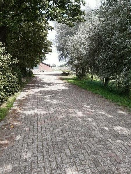 Camperplaats kleindorp - Foto 6