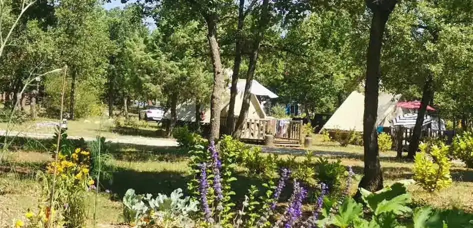 Camping Le Jas du Moine Camping Alpes de Haute Provence - Foto 7
