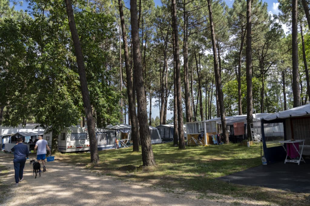 Camping Cachadelos - Foto 3