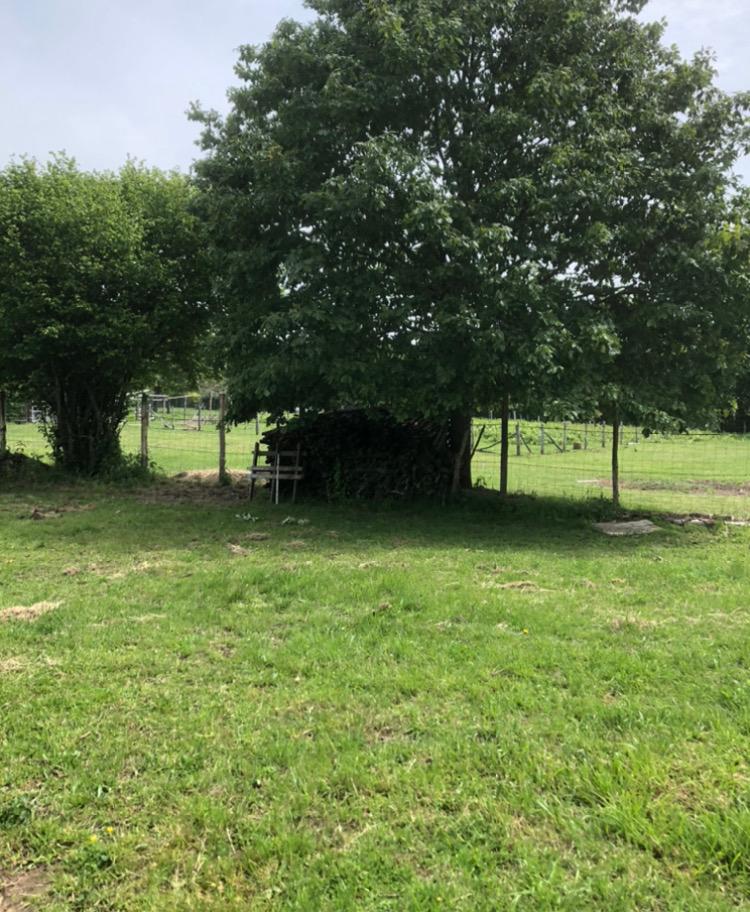 Aire privée camping car "Les plesses" - Foto 4