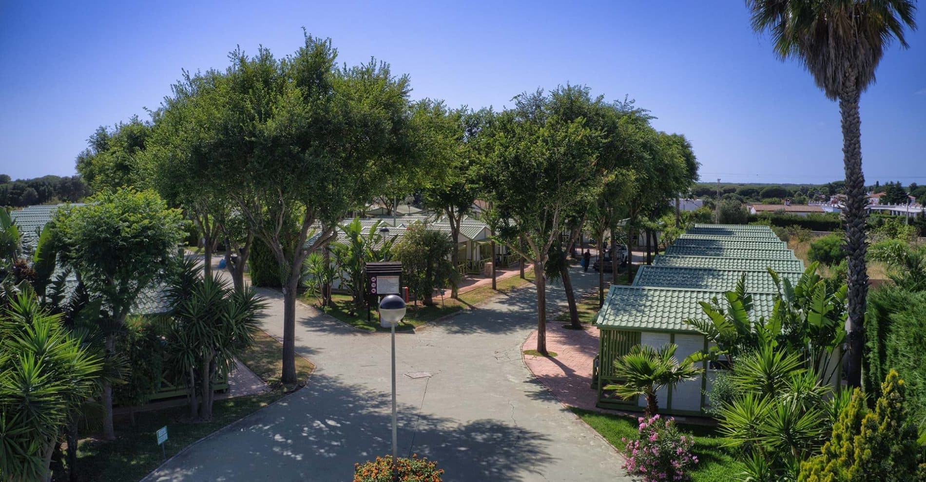 Camping El Faro. Camping en Conil de la Frontera. Bungalows . - Foto 3