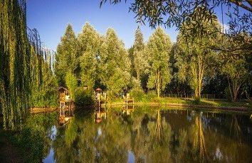 Camping de l'Etang : Camping 4 étoiles près d'Angers - Foto 6