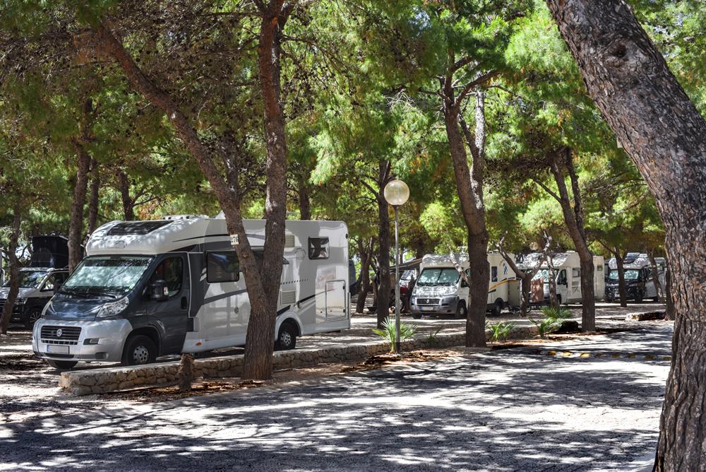 Camping Village la Pineta - Foto 3