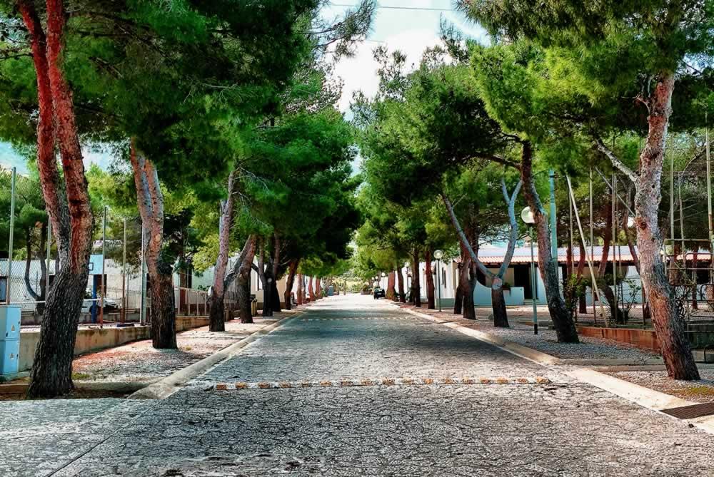 Camping Village la Pineta - Foto 5