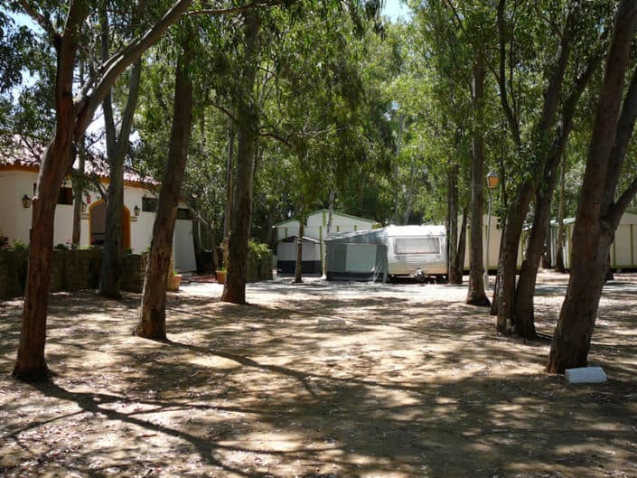 Camping los Eucaliptos - Foto 1
