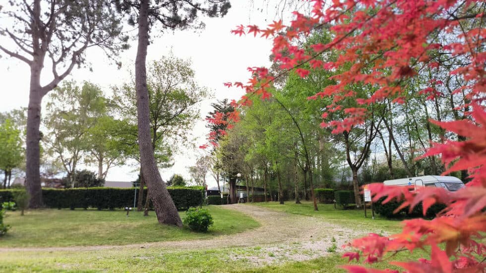 Camping Playa de Otur - Foto 2