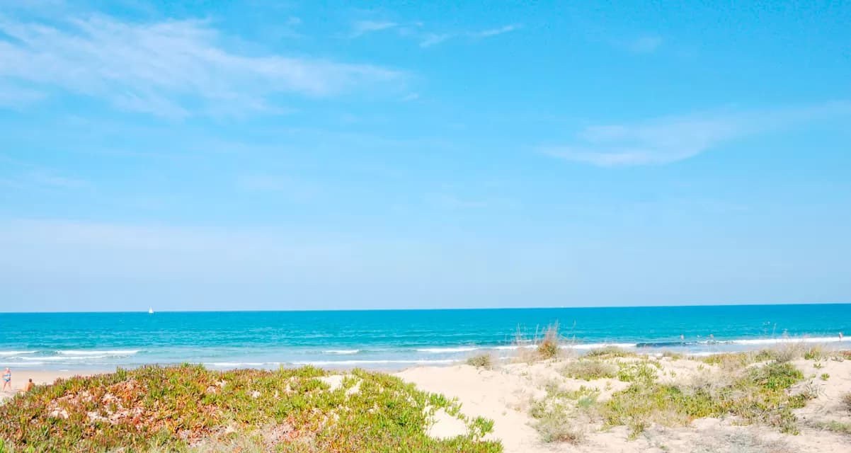 Camping Pepe · Playa de Oliva - Foto 2