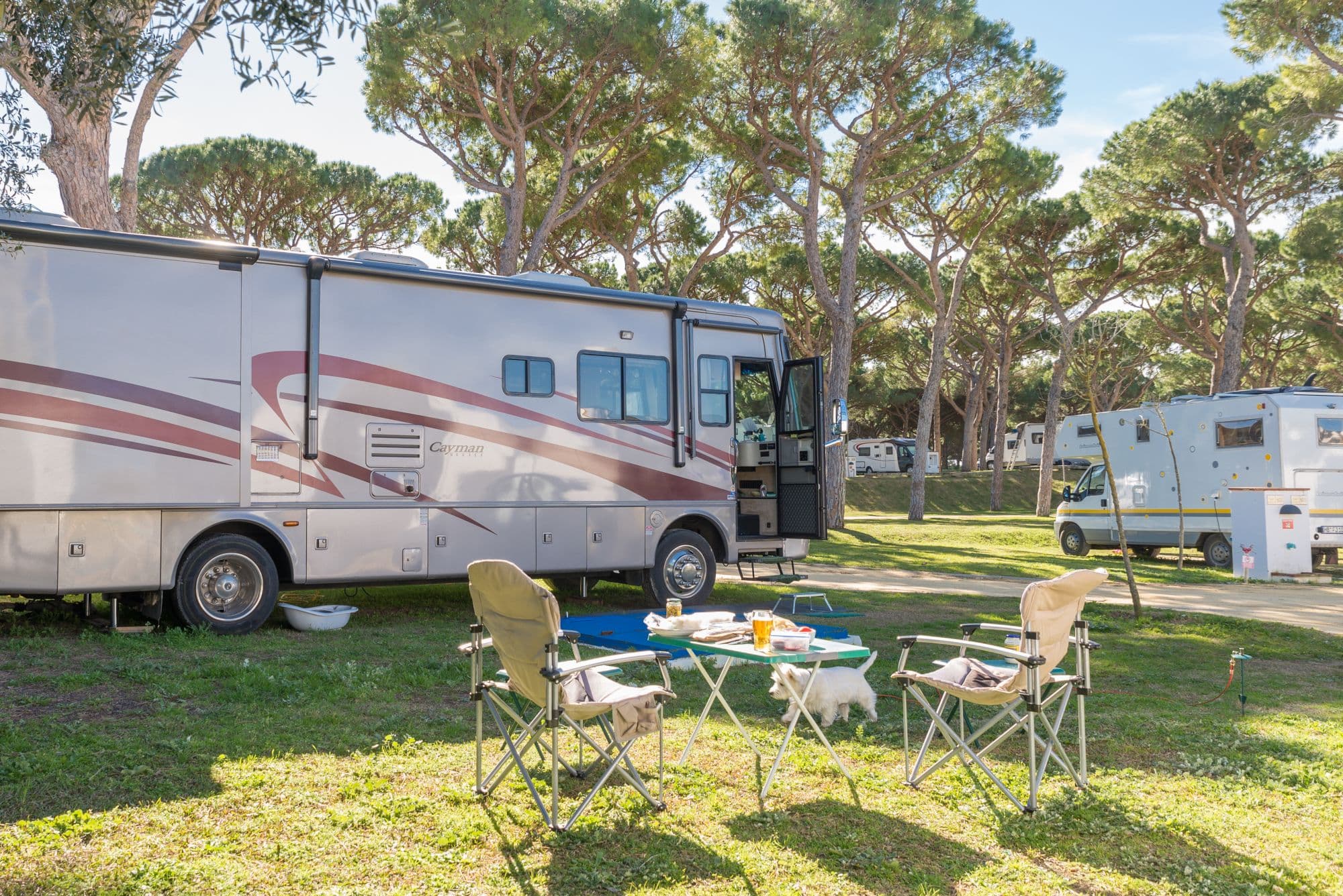 Camping Pinar San José - Foto 2