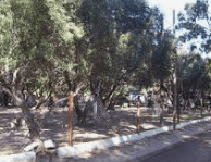 Camping Los 7 Colores - Foto 3