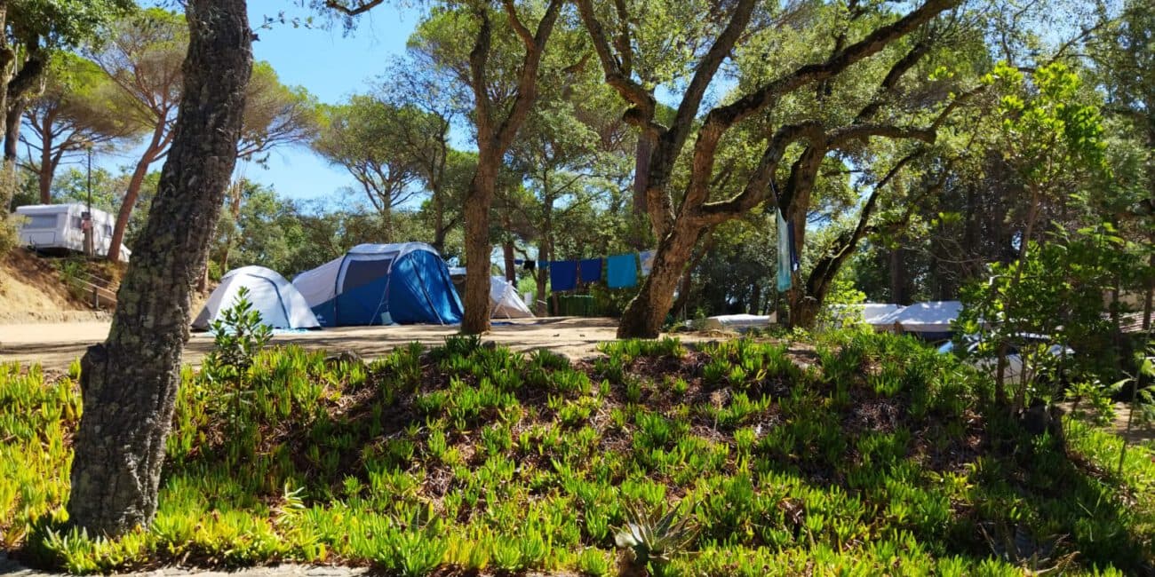 Camping RIDAURA - Foto 2