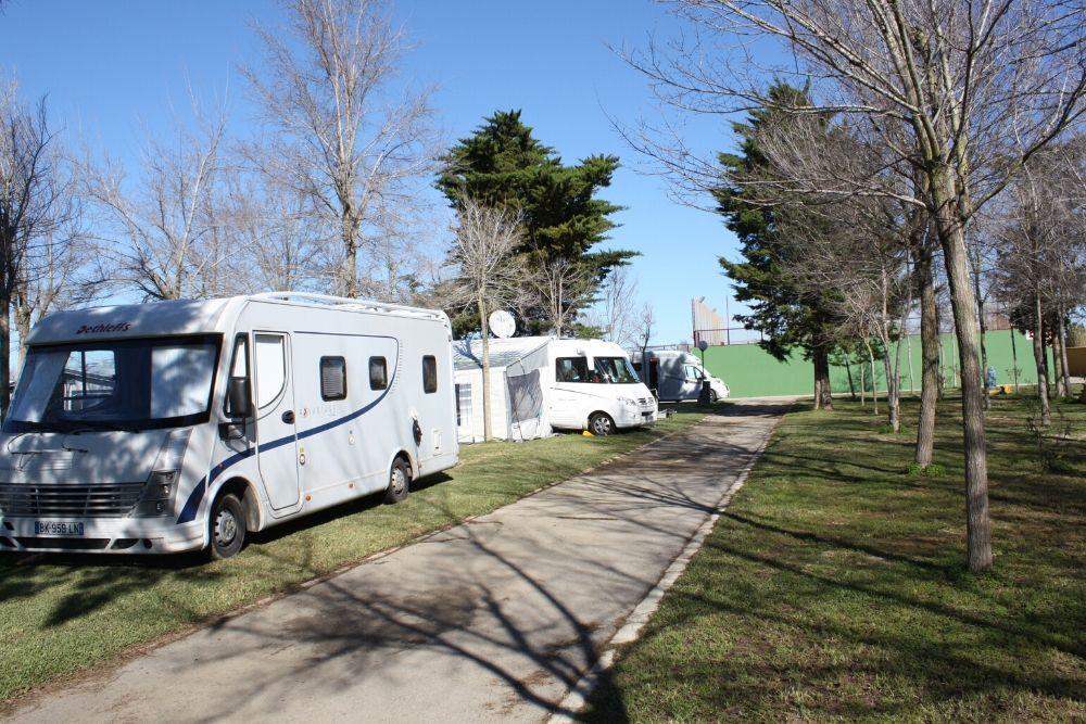 Camping Calafates del Llaima - Foto 7
