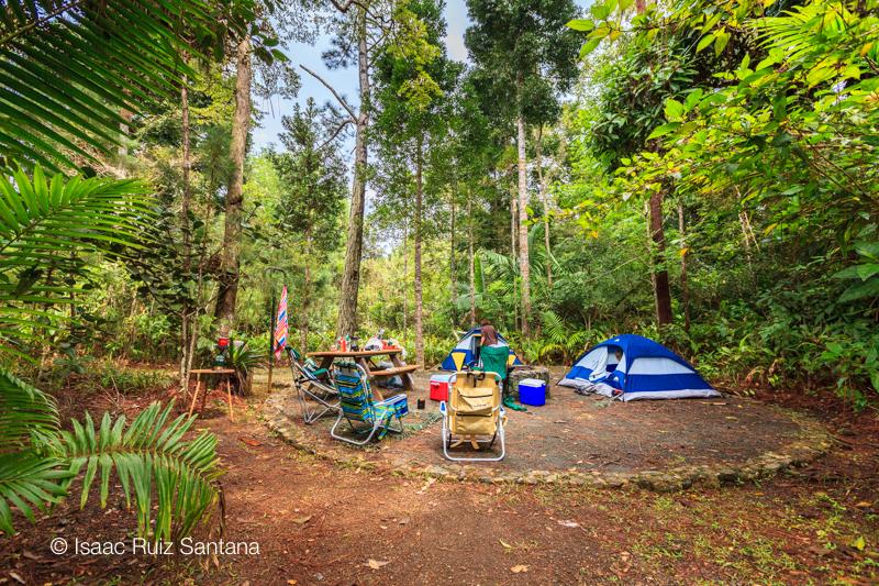 Parque Ecológico Monte del Estado - Foto 4