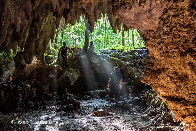 Bosque Estatal de Río Abajo - Foto 4