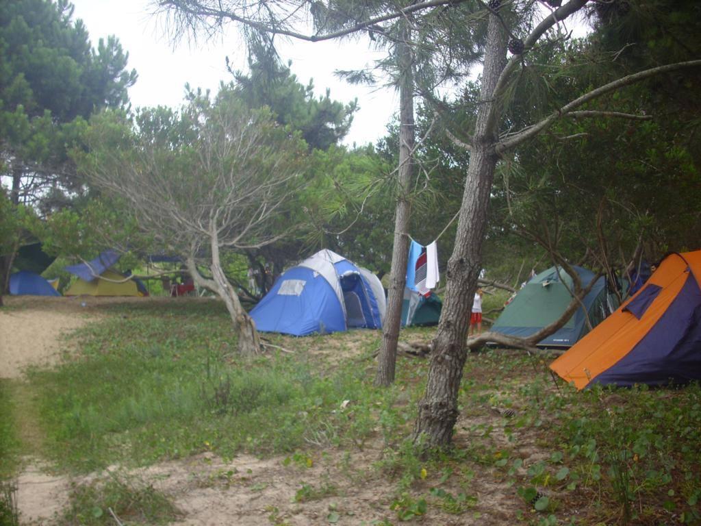 El Cocal - Camping ecológico - Foto 2