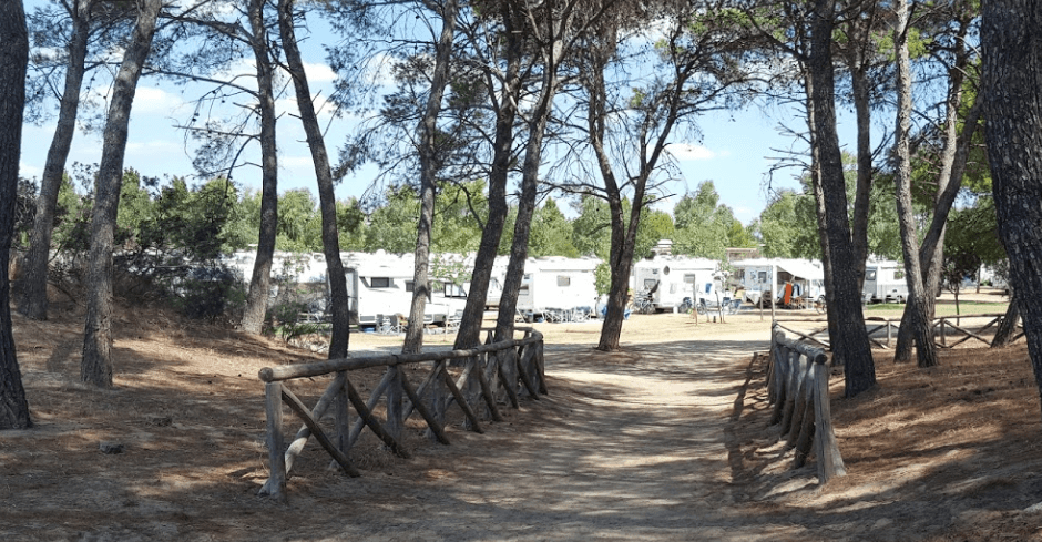 Amici Della Natura A.sosta Camper - Foto 3