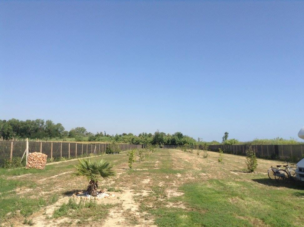 Agricampeggio Az.Vomano Vecchio - Foto 4