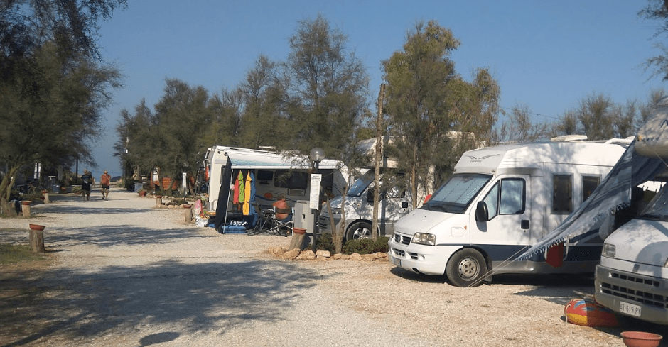 Area Sosta Gli Eucalipti - Foto 4