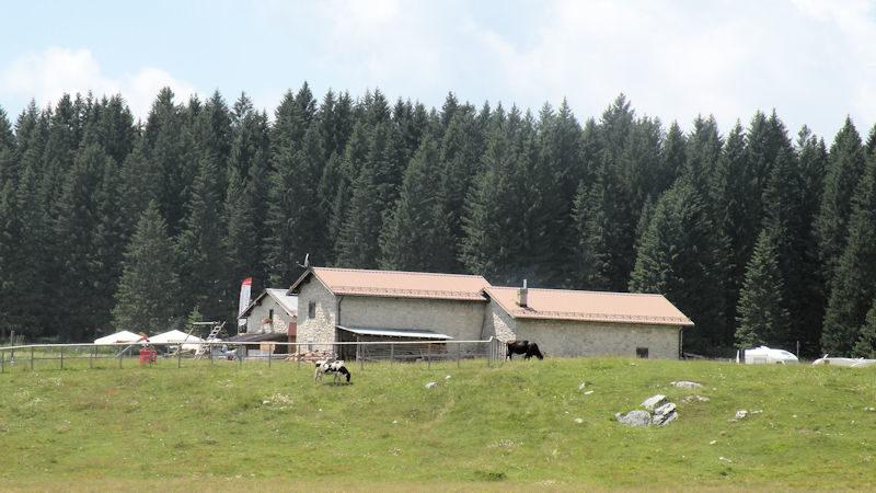 Camper Parking Area Malga Millegrobbe - Foto 4