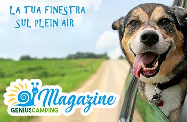 Agricampeggio Az.Vomano Vecchio - Foto 5