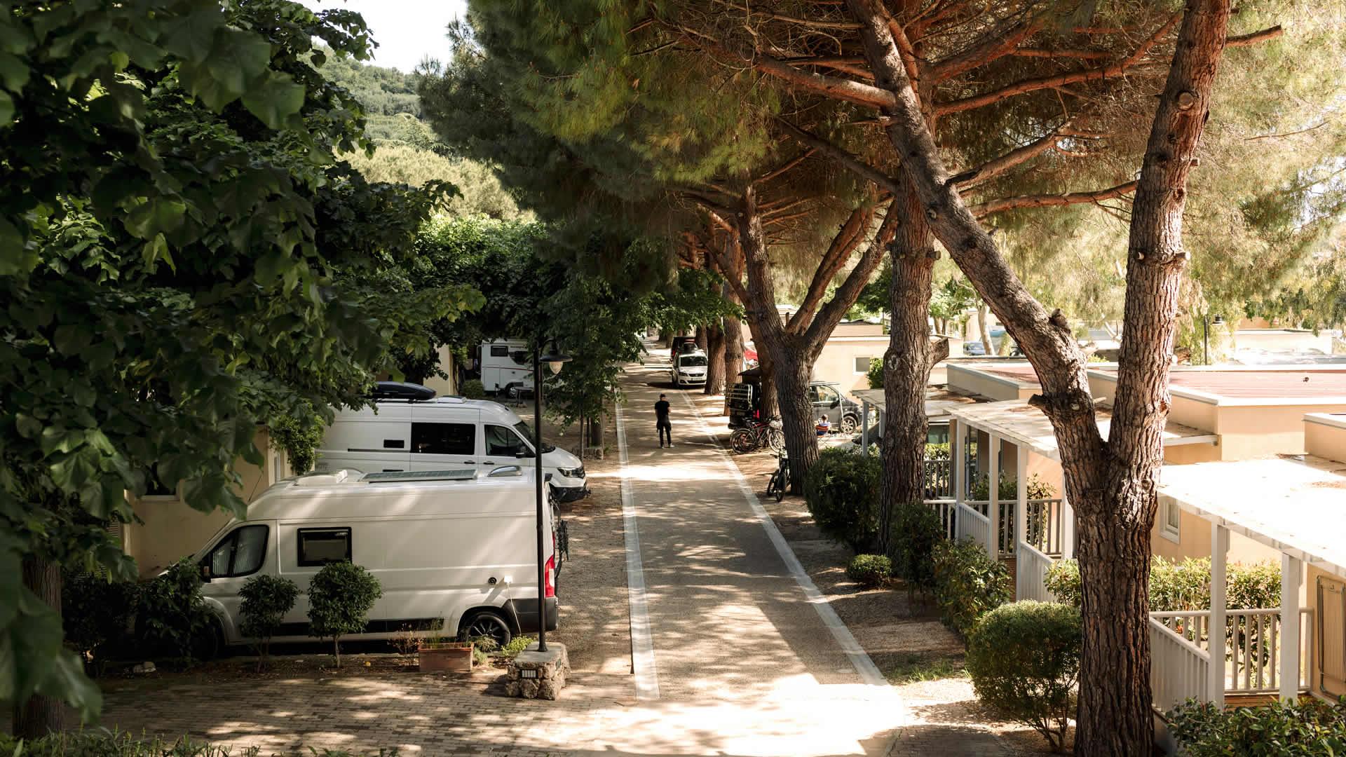 Eurocamping Calvisio - Foto 7