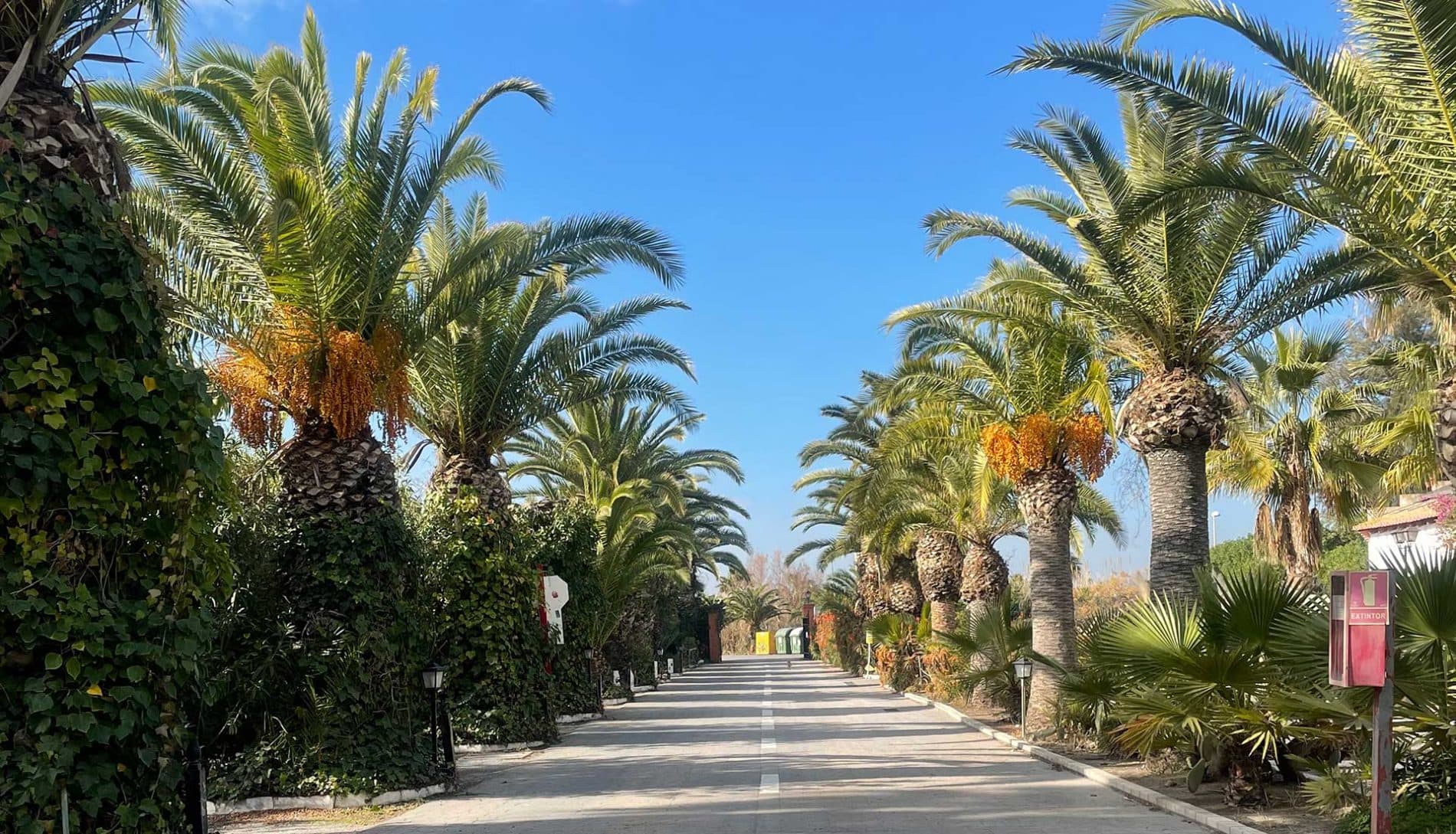 Camping Malvarrosa de Corinto - Foto 2