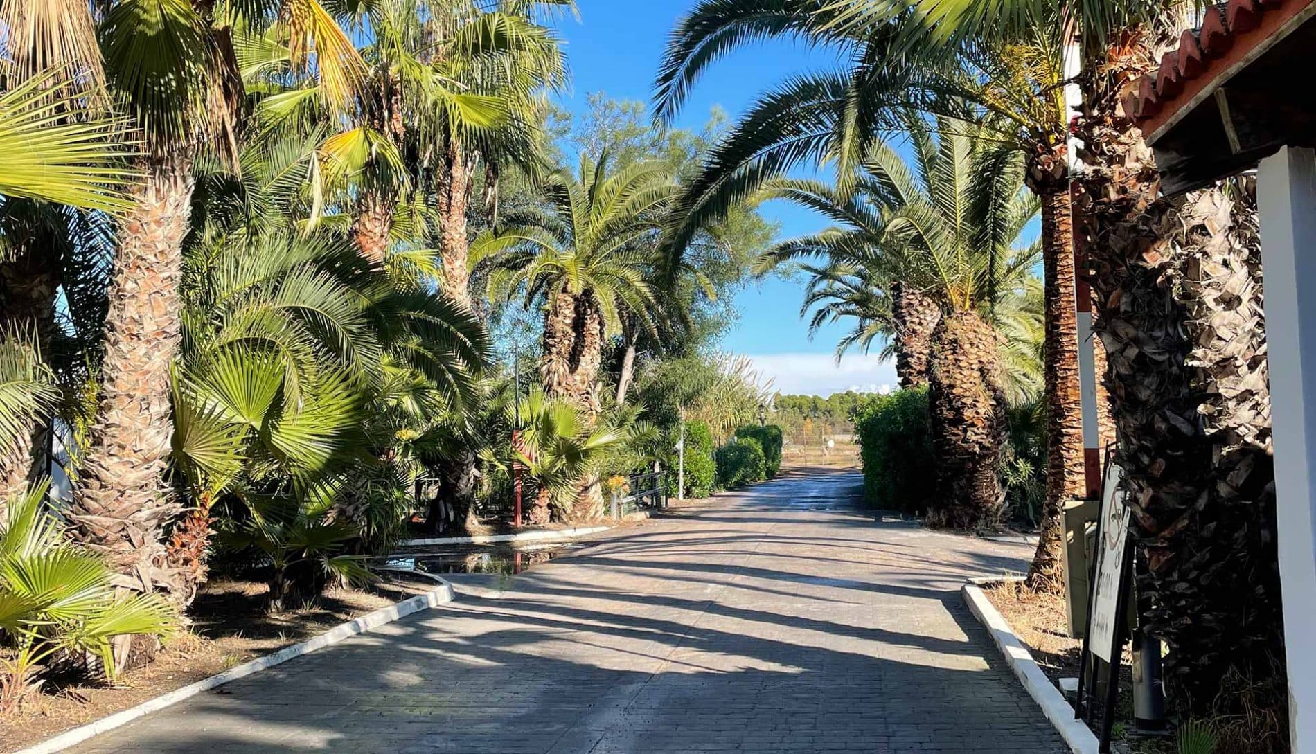 Camping Malvarrosa de Corinto - Foto 3