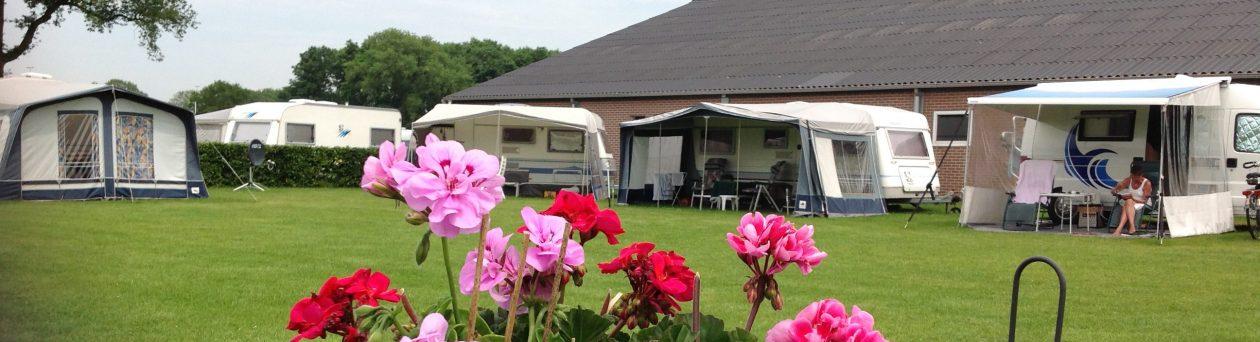 Camperlocatie De Hane Bussloo - Foto 3