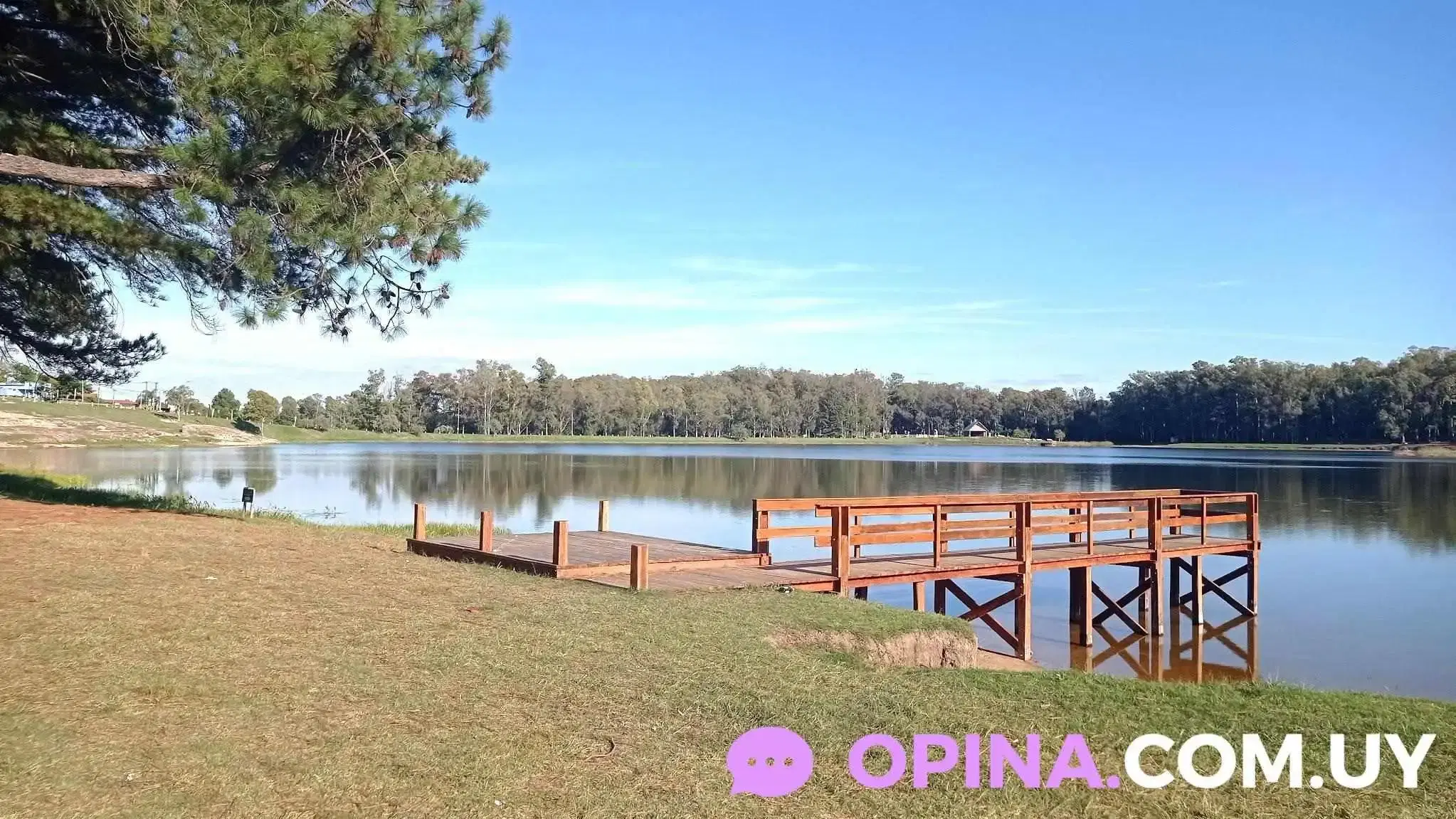 Oveja Negra Campers - Foto 3