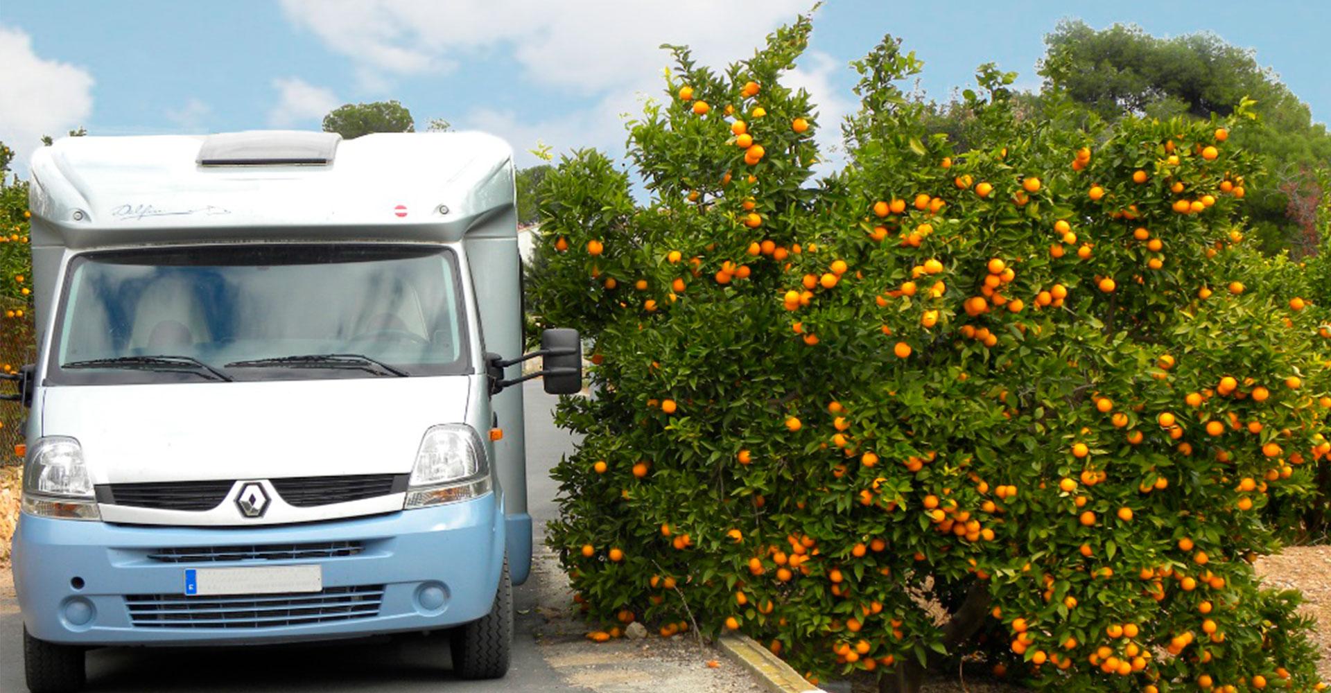 Orange Grove, Camper Park - Foto 6