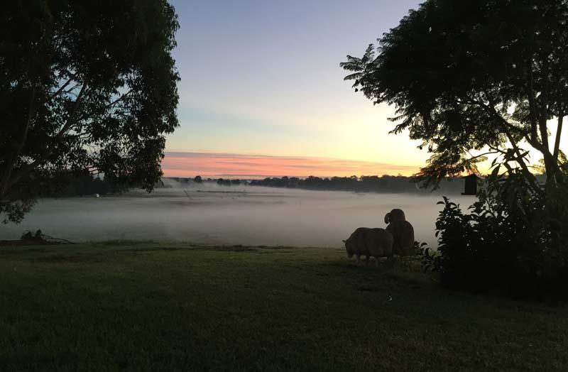 Percy's Place Caravan Park - Foto 3