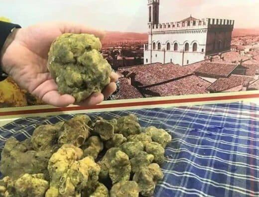 Area sosta camper Torgiano PG - Foto 4