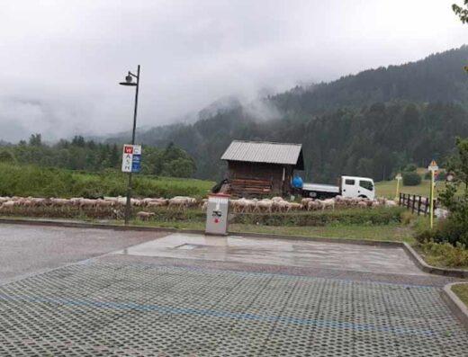 Area sosta camper La Batuda - Foto 7