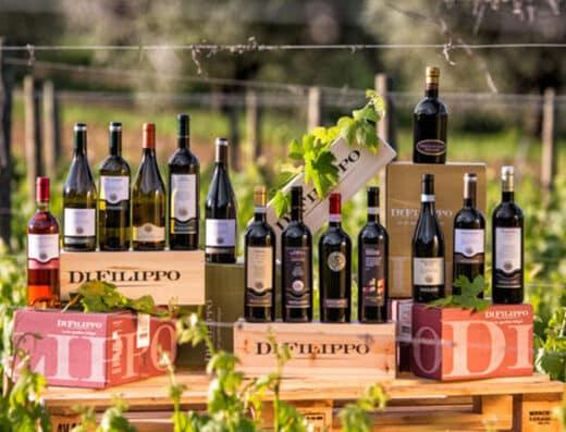 Area sosta camper Torgiano PG - Foto 6