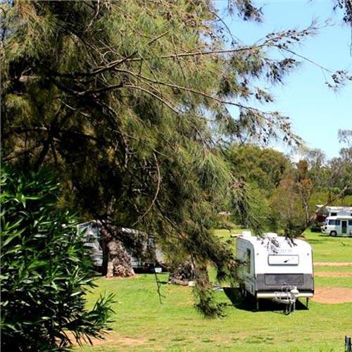 Poplar Tourist Park - Foto 3