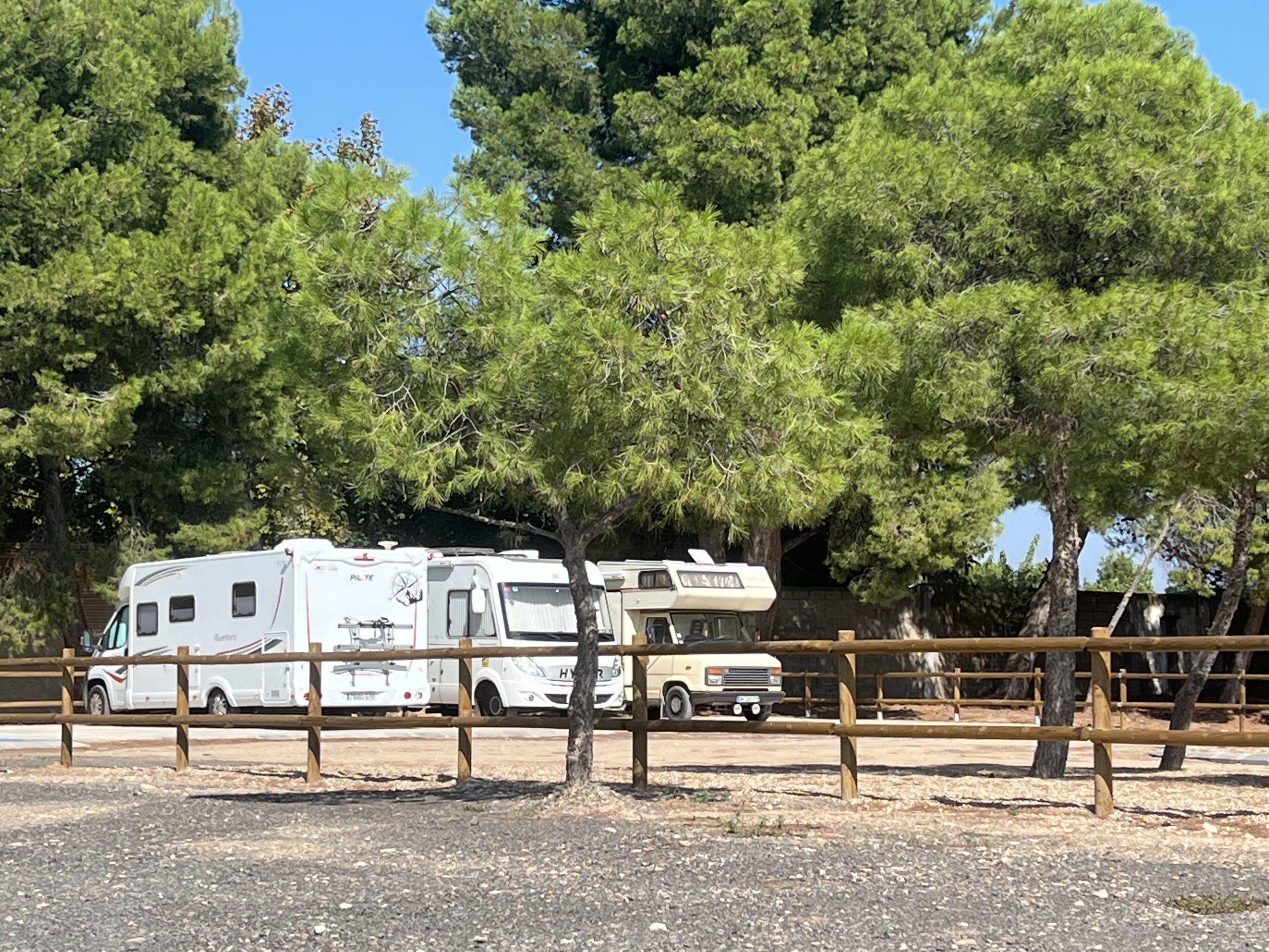 Bosque Estatal de Carite - Foto 6
