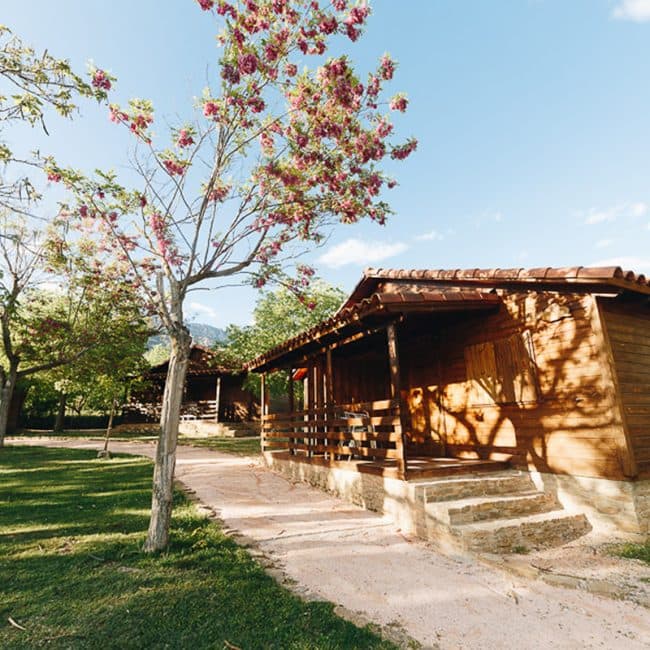 Vall d'Àger Resort & Camping - Foto 3