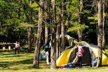 Camping CECU - Foto 6