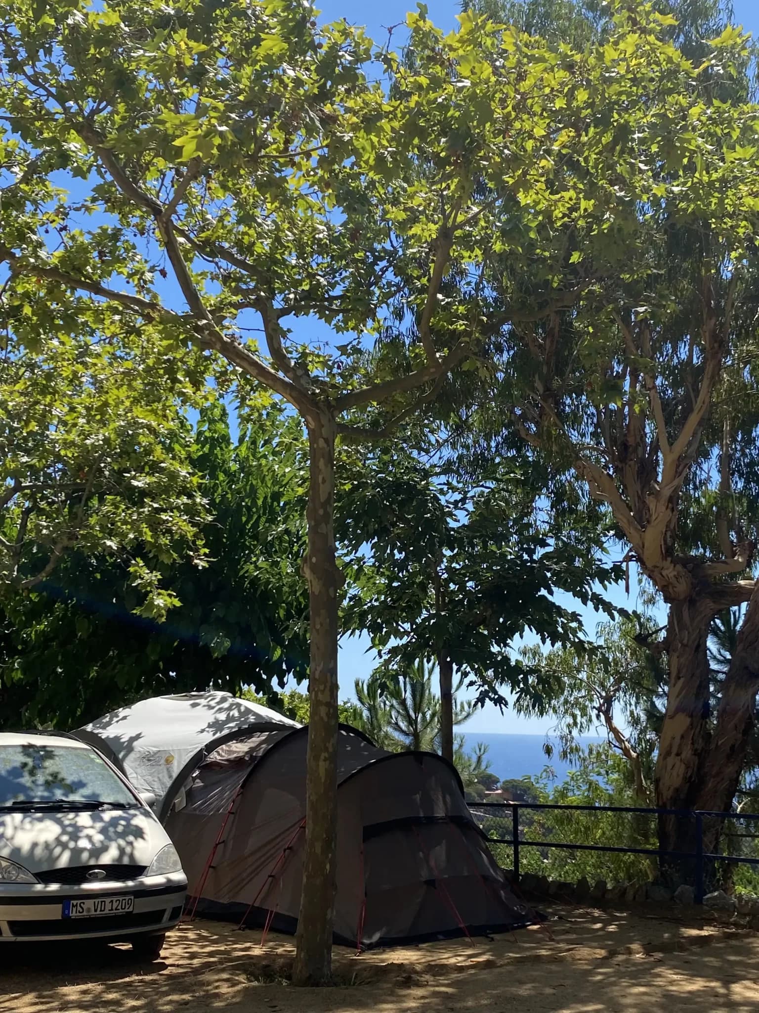 CAMPING ROCA GROSSA & BUNGALOW - Foto 2