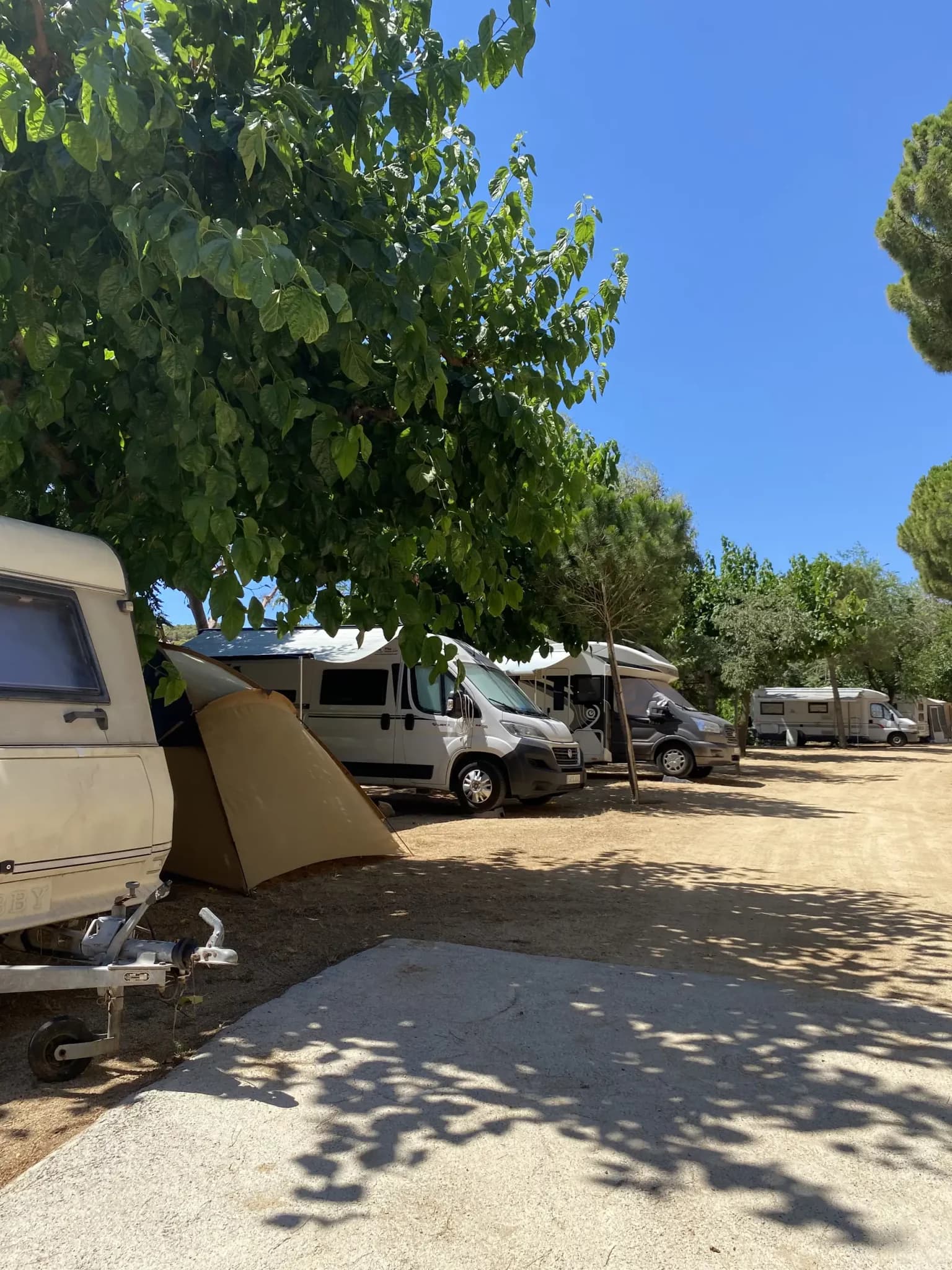 CAMPING ROCA GROSSA & BUNGALOW - Foto 3