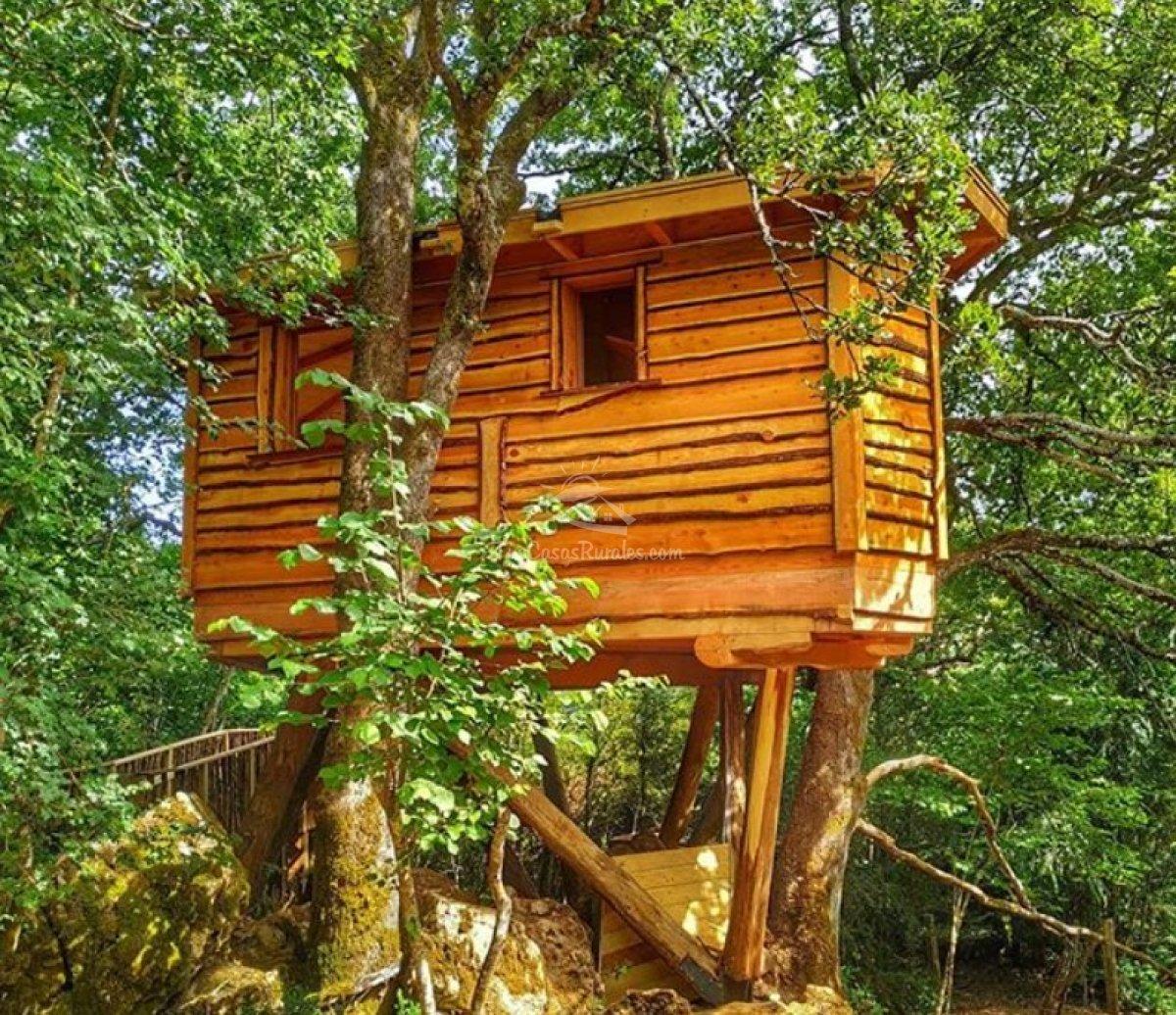 Naturi Glamping - Foto 5