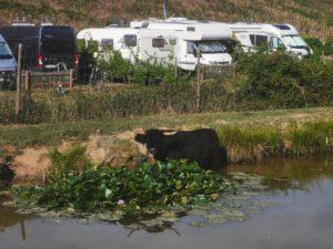 Von Nell Wohnmobilstellplatz - Georg Fritz von Nell - Foto 3
