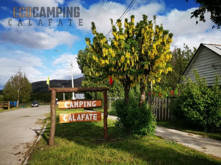 CAMPING CALAFATE