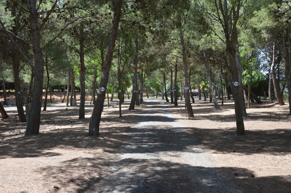 Camping Nature | Camping cerca de las Bardenas Reales
